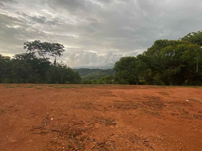 0 bed Lot/Land For Sale in Ojochal,  - 1